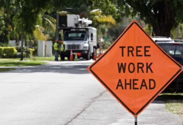 tree removal Tallmadge oh